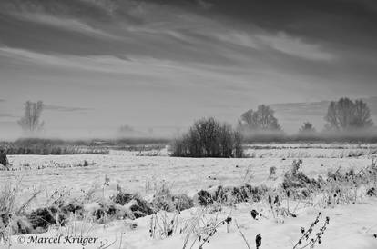 Fog over a Field III