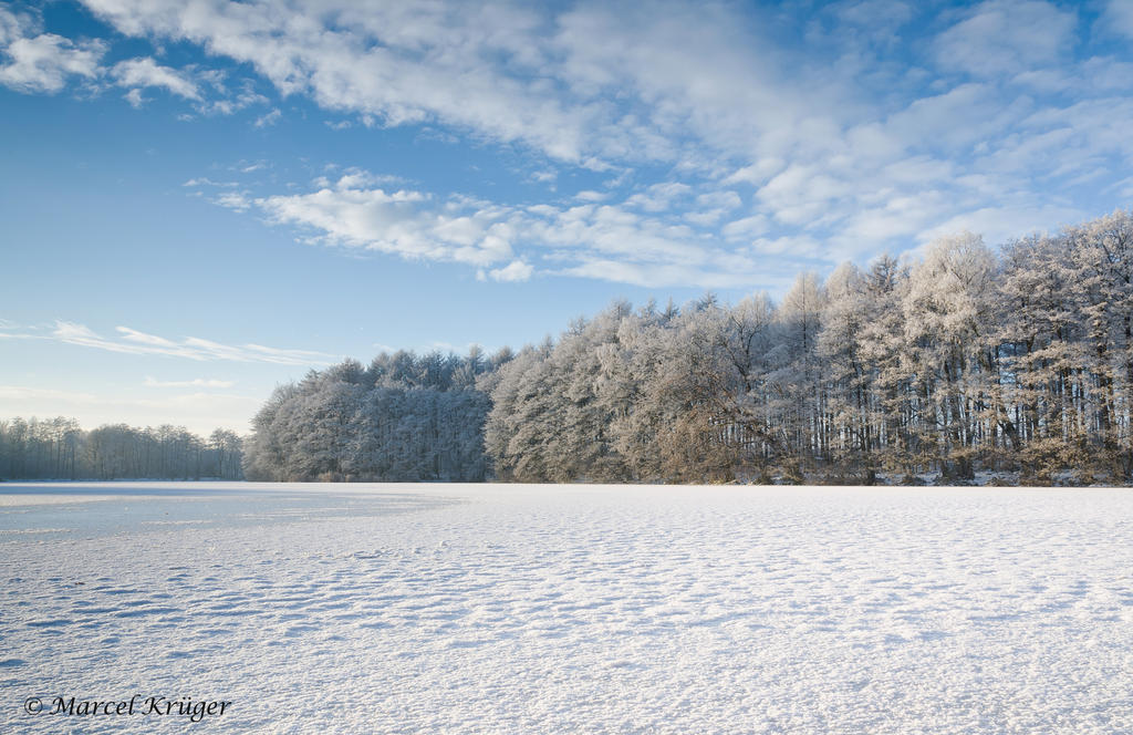 Ice Lake III