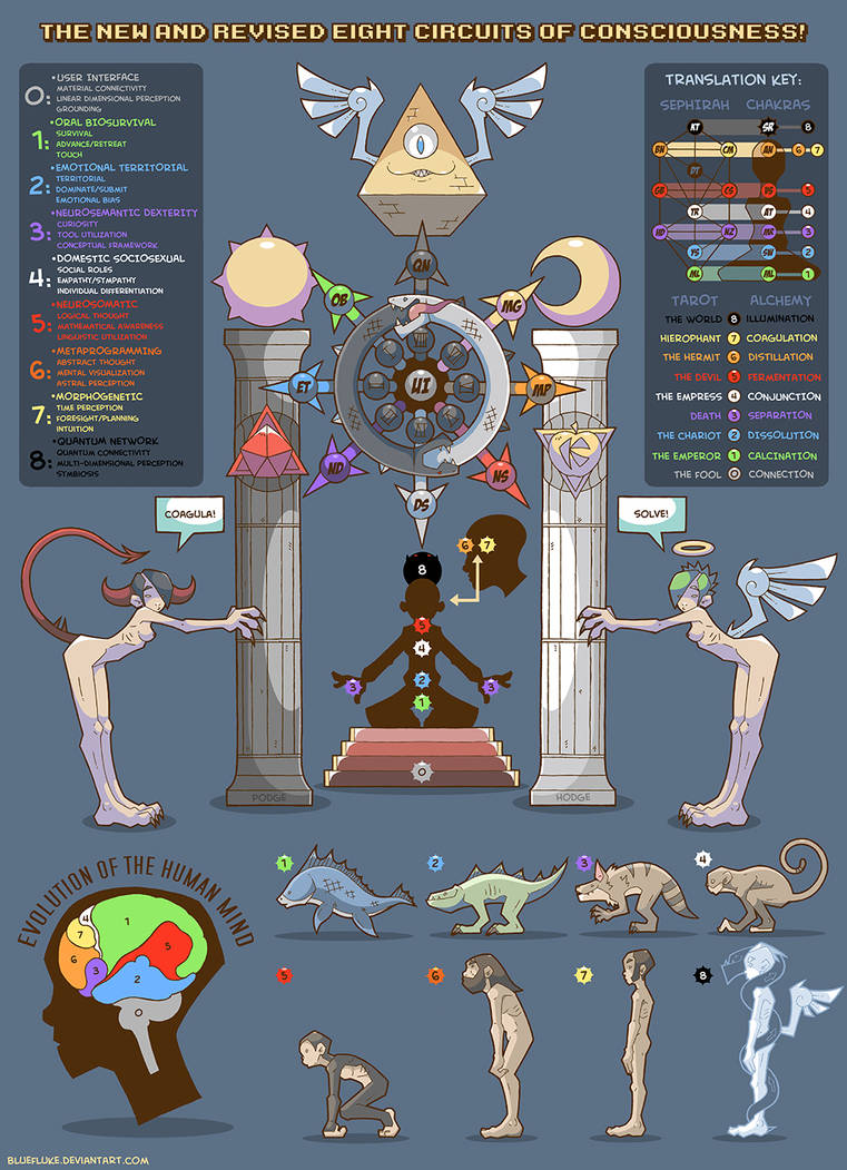 EIGHT CIRCUITS OF CONSCIOUSNESS by bluefluke