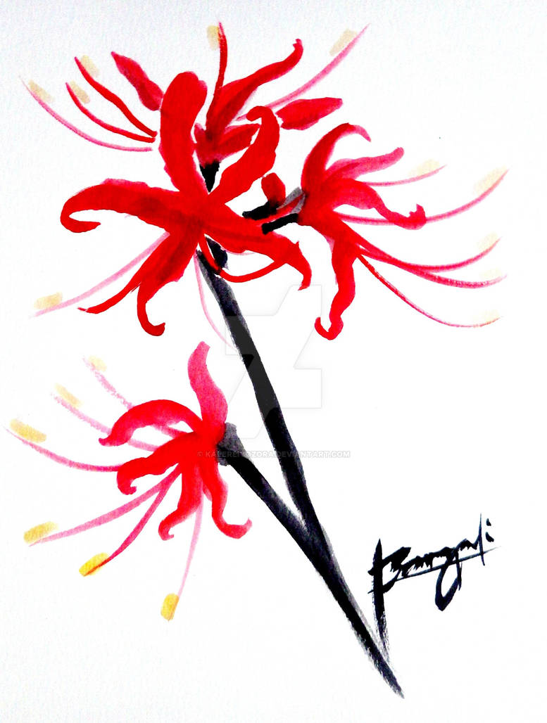 Sumi E Spider Lilies By Kalereiyozora On Deviantart Sumi E Spider Lilies By Kalereiyozora On Deviantart