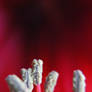 red stamen