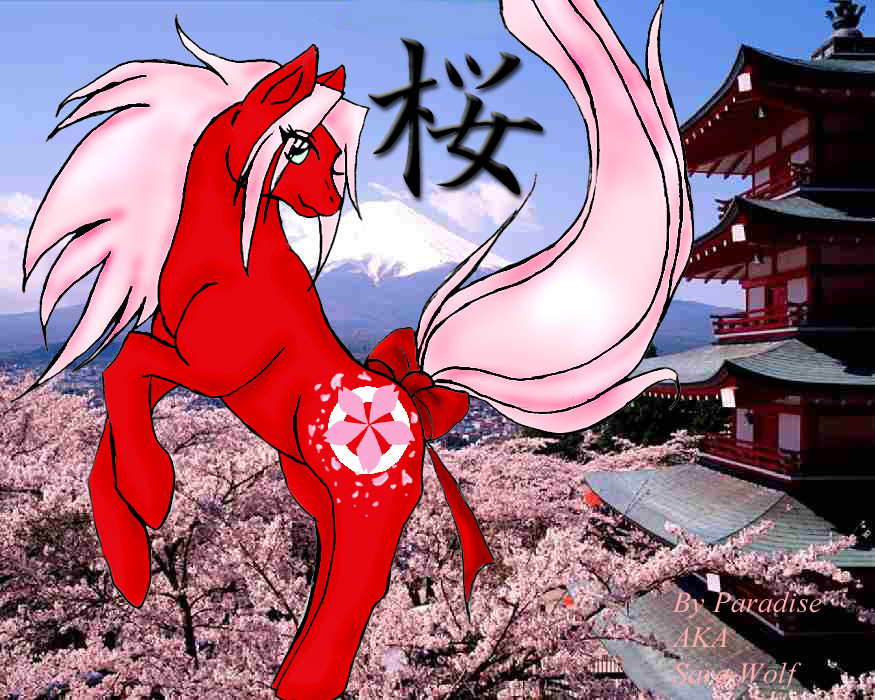 MLP Sakura