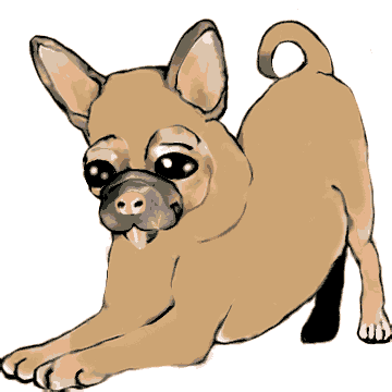 CuteChiPug Animation