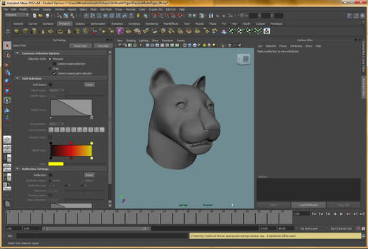 Tiger Head Model