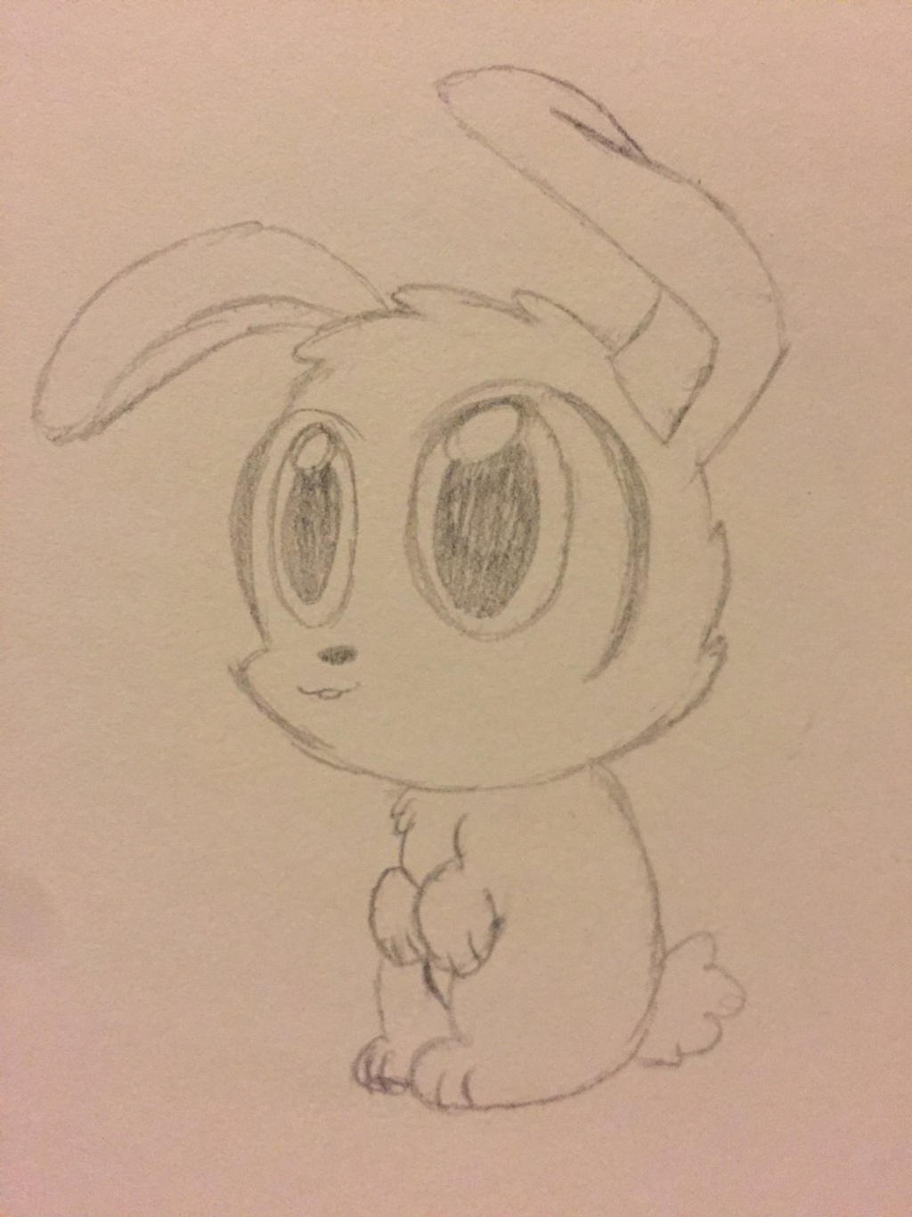 Redesign of Mr. Fuzzy (Stacy's Pet Rabbit)