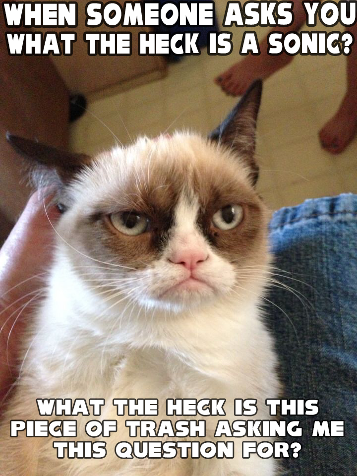 Grumpy Cat Meme About Happiness Challenged by MelSpyRose on DeviantArt