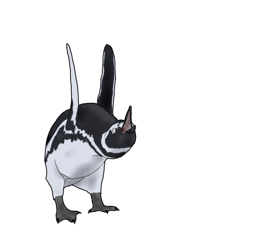 Squawk Design by Riffhai on DeviantArt