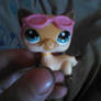 My LPS Collection Poppy2
