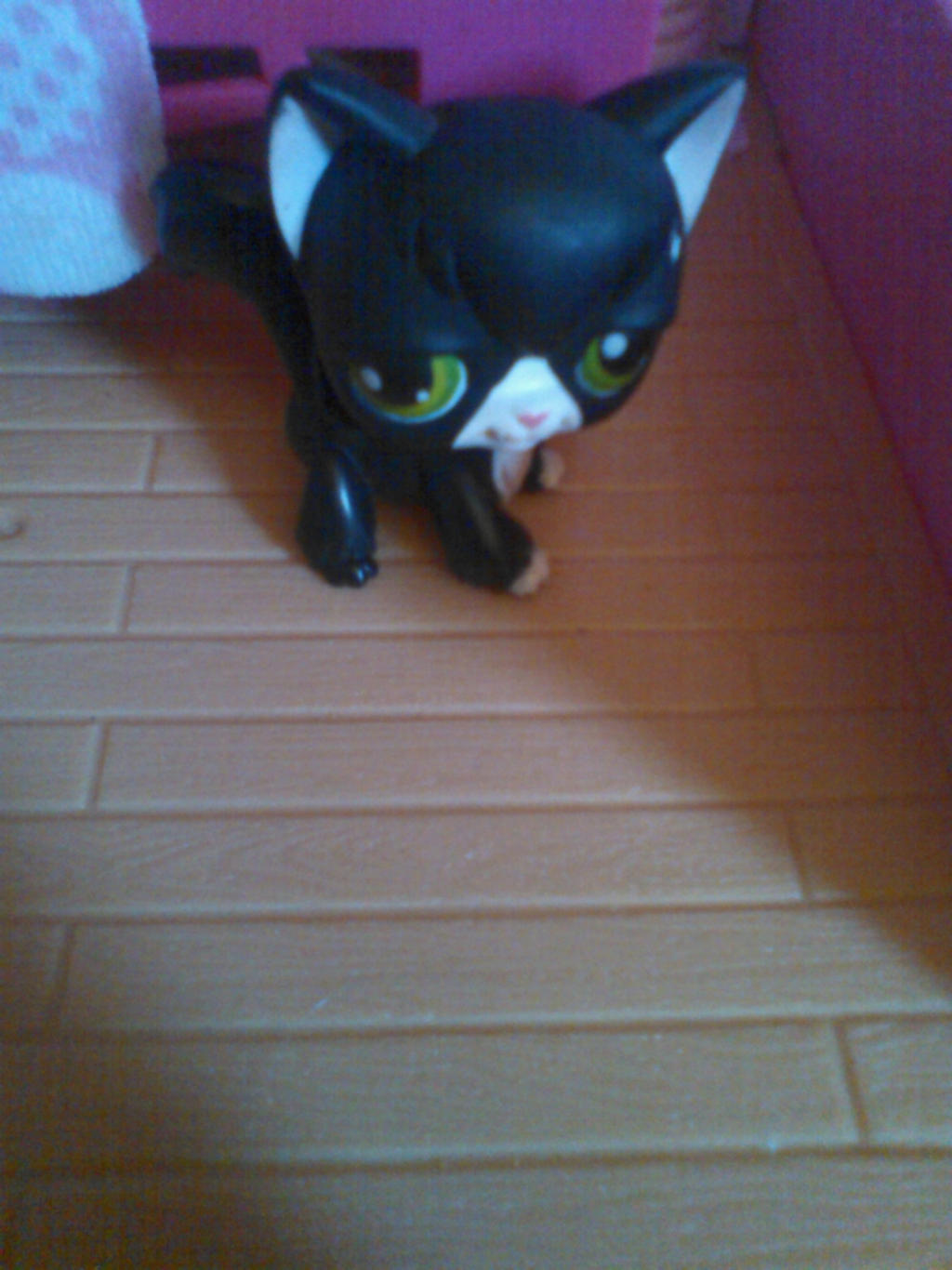 My LPS Collection Mog