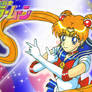 Sailor Moon Journal Header