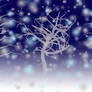 Winter Trees Background