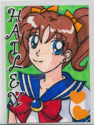 Gift: Hailey-My 1st ACEO!