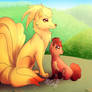 Ninetales and Vulpix [OLD]