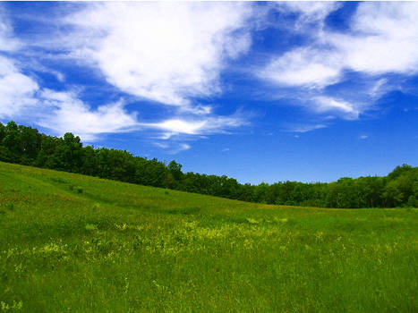 Fields of Green