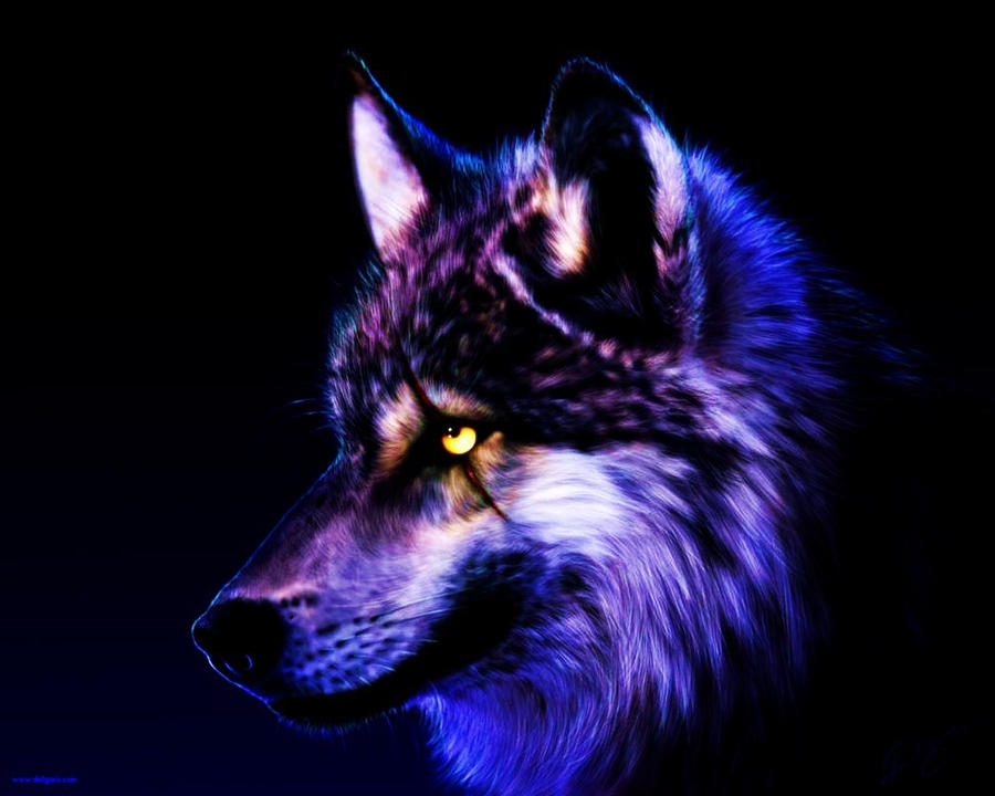 fixed wolf wallpaper by wolfkermek on DeviantArt