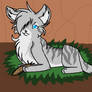 Jayfeather-My love