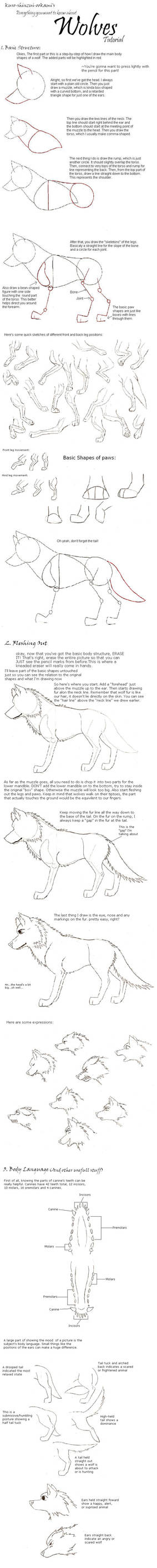 Wolf Tutorial