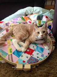 Helping with the Quilt