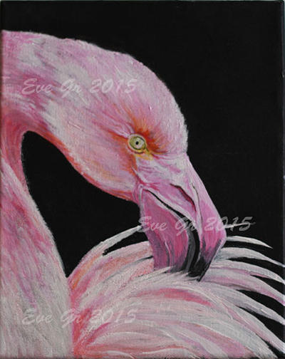 Portrait d'un flamant rose