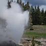 Geyser And Bisons