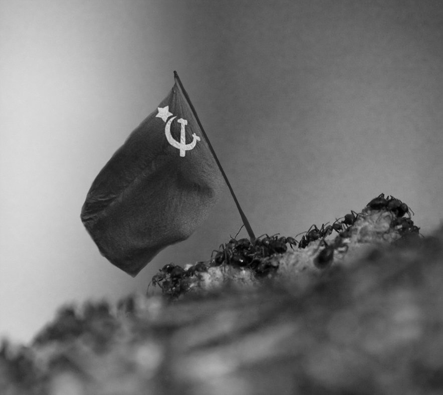 Ants, Hammer, Sickle and Star by Perifeerikko