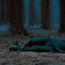 Fallen