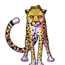 Staring Cheetah Badge