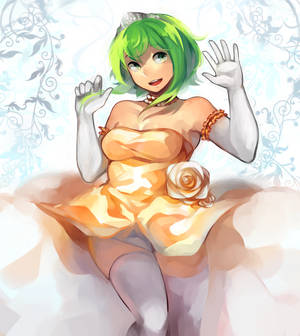 Gumi*6