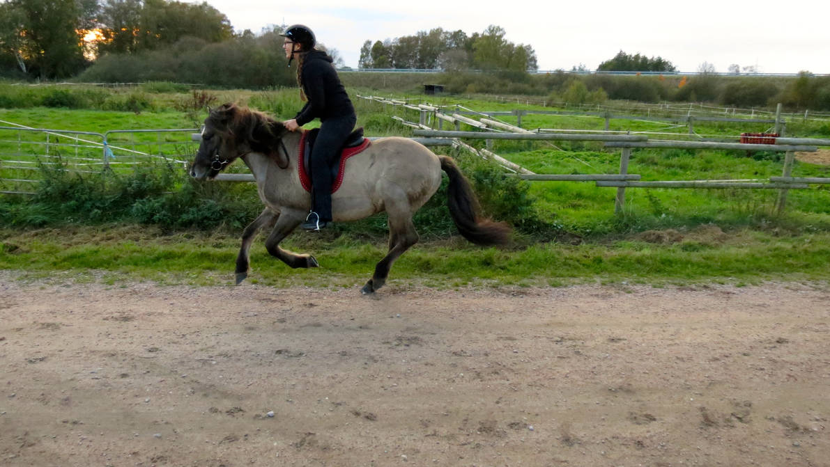 Stocks Riding Riding Stock #1 by EquestrianWorld on DeviantArt