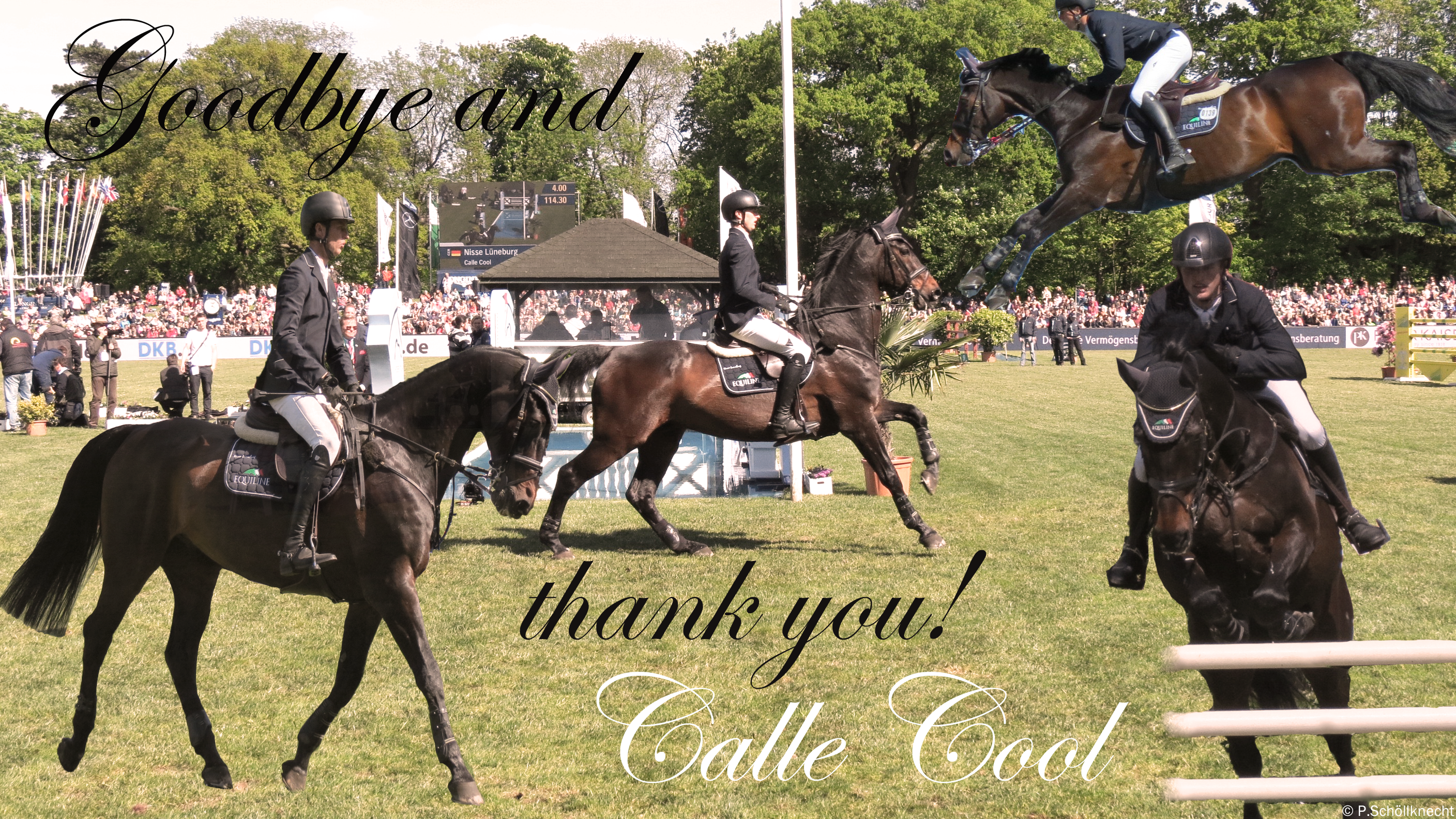 Thanks and Goodbye Calle Cool!