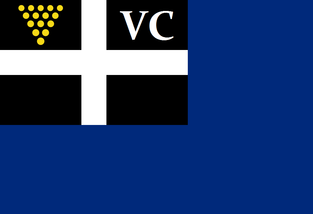 Flag of Virginia City, Nevada