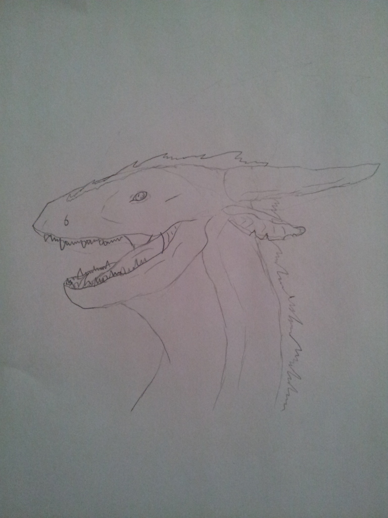 Dragon drawing