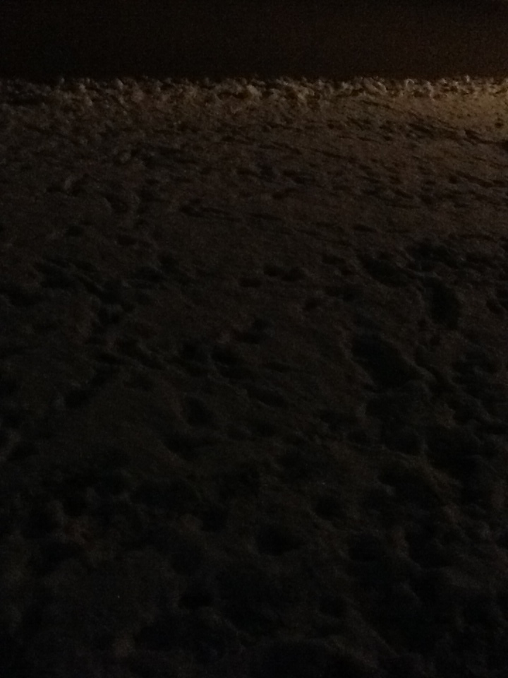 Snow at Night