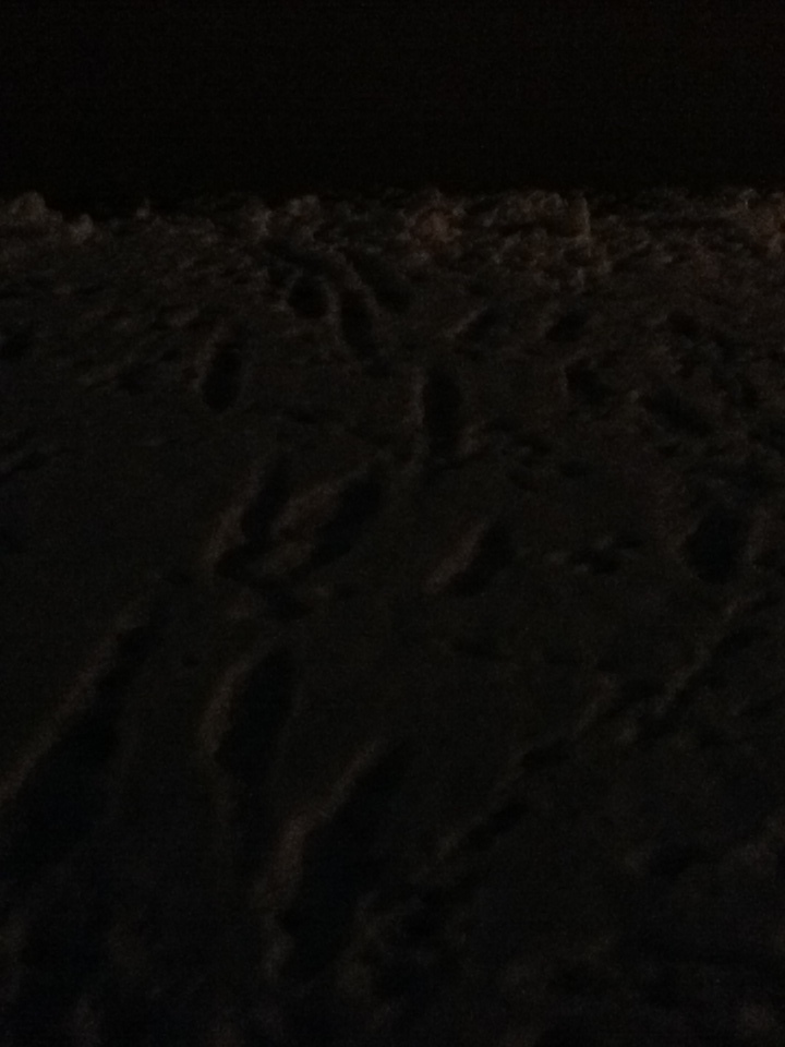 Snow at night 3