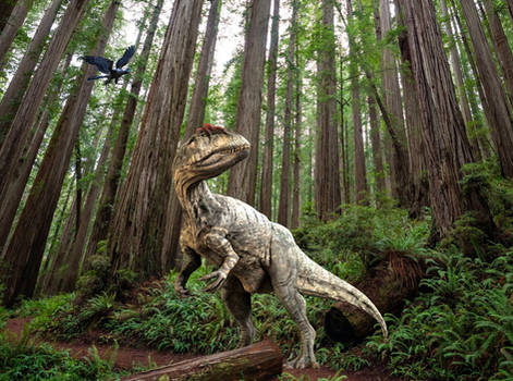 Allosaurus!