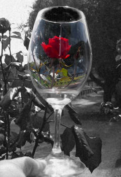 In days of wine and roses