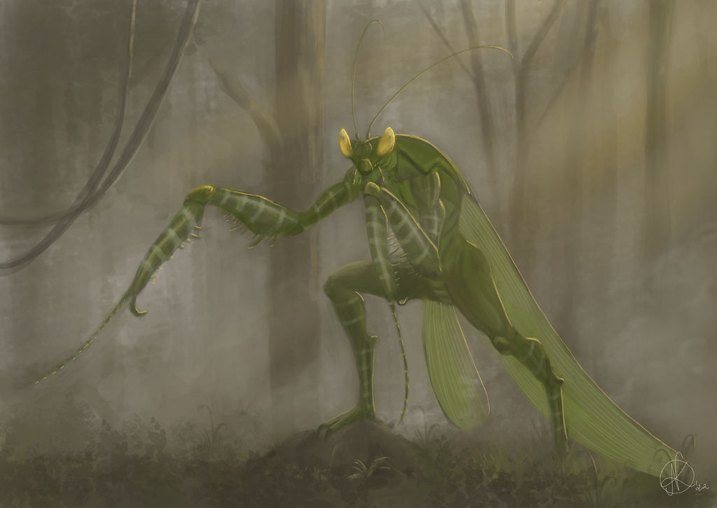 Mants Deviantart Mantis Man by Art-of-Akrosh on DeviantArt