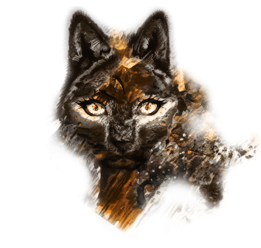 Human cat face by niv11212 on DeviantArt