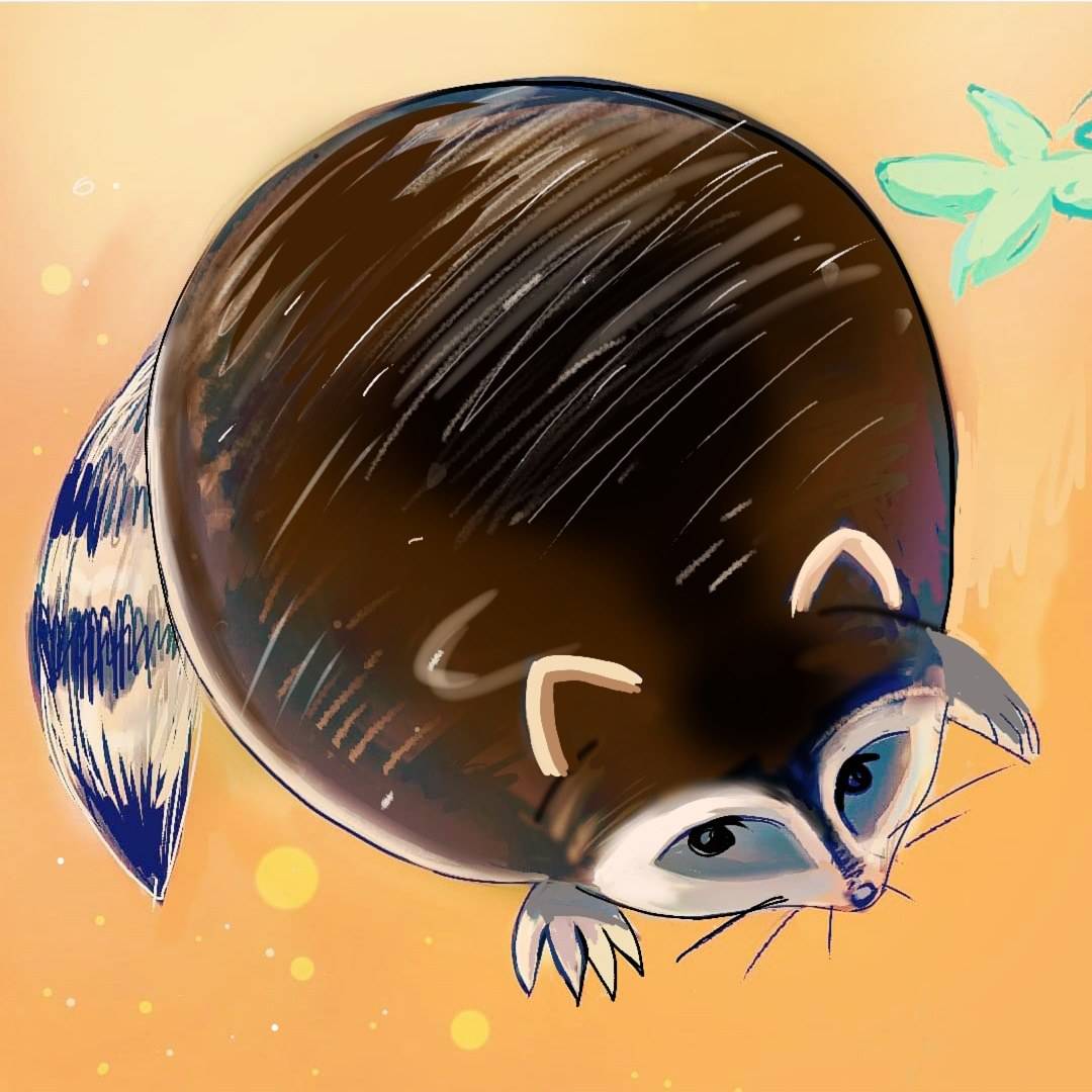 Fat Racoon by Snooo06 on DeviantArt