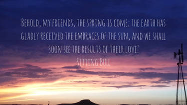 Sitting Bull - Spring