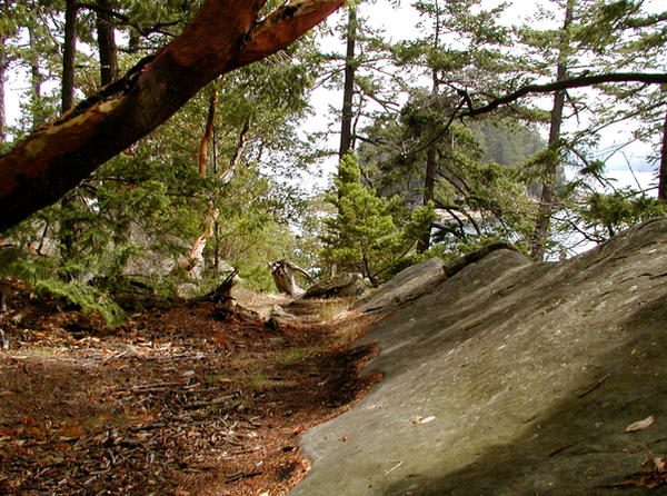 Slanted Fall Slanted by deepgreenshadows on DeviantArt