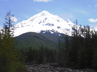 Mt Hood