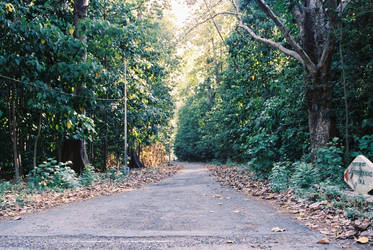 cutterbuck road