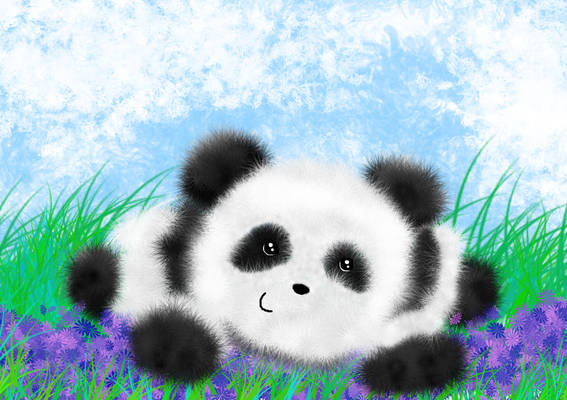 sweet panda