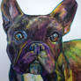 Frenchie drawing!