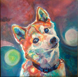 shiba inu acrylic,  unfinished