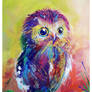 Colorful Owl