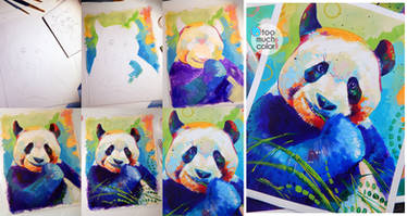 Panda - Step by Step