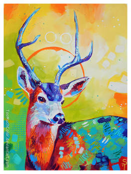 Buck