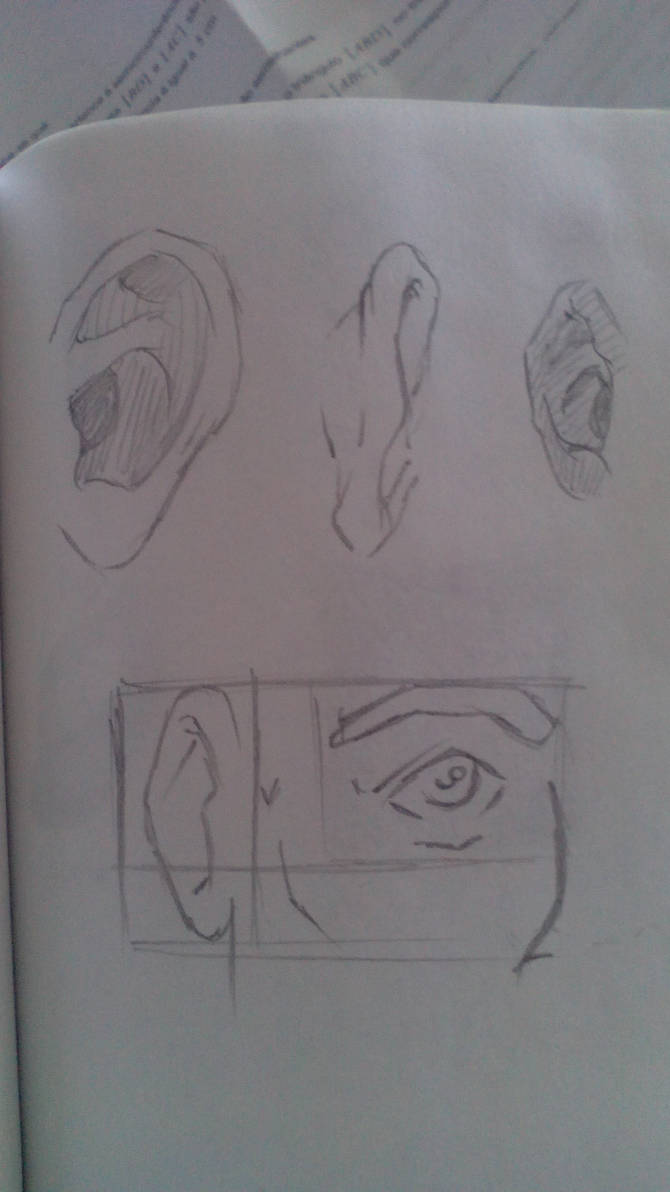 ear study by Cpsart62 on DeviantArt